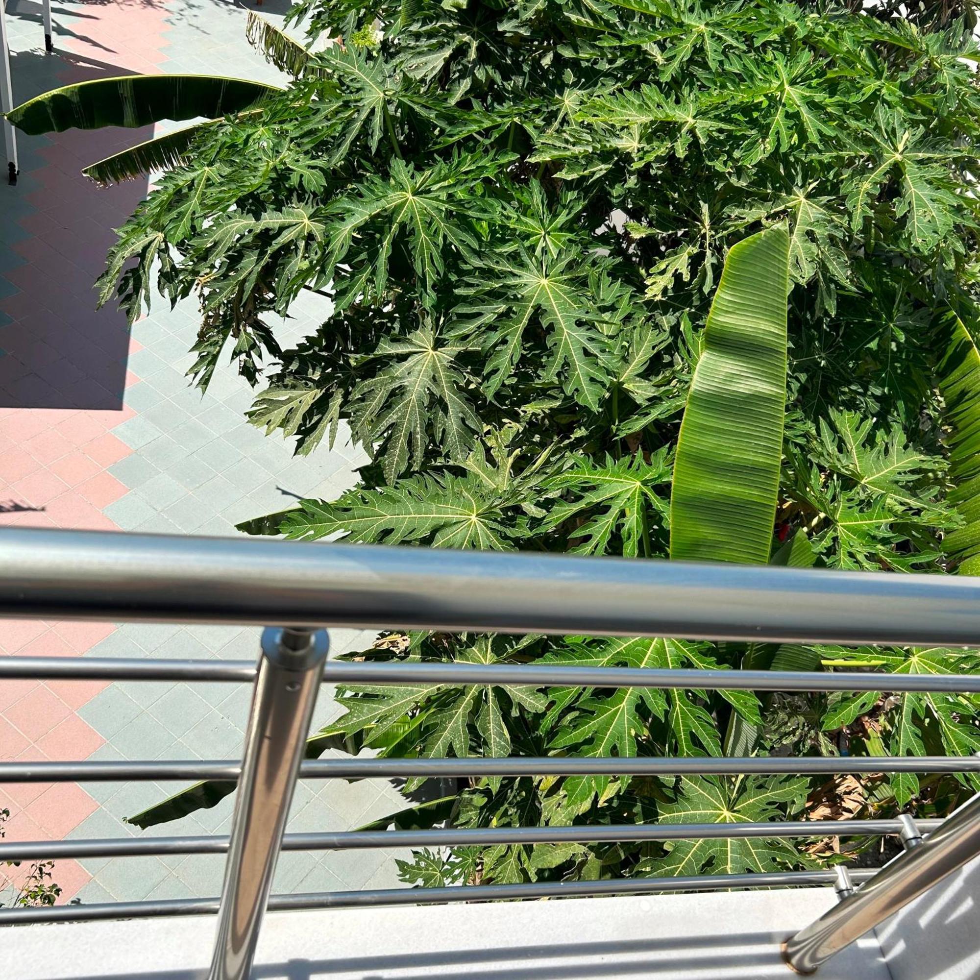 Sea Breeze Hotel 马斯蒂查里 外观 照片